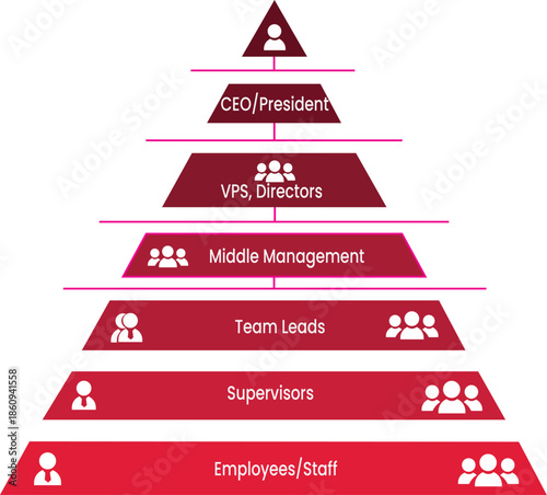 Company pyramid hierarchy infographic