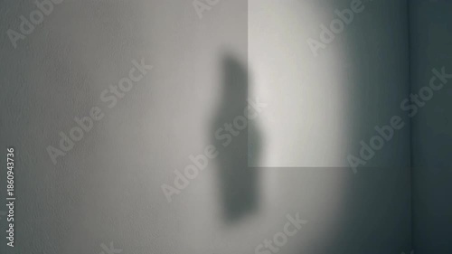 Mystery's Silhouette: A striking play of light and shadow, casting an enigmatic silhouette on a minimalist backdrop, evoking intrigue and contemplation.
