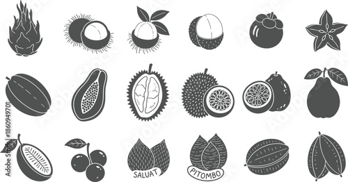 Tropical Exotic Fruit Icon Collection - Black Solid Vector Symbols for Healthy Food, Organic Products, and Agriculture