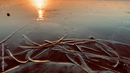 Quadro su tela Eel Grass in the Shore Wash at Sunset