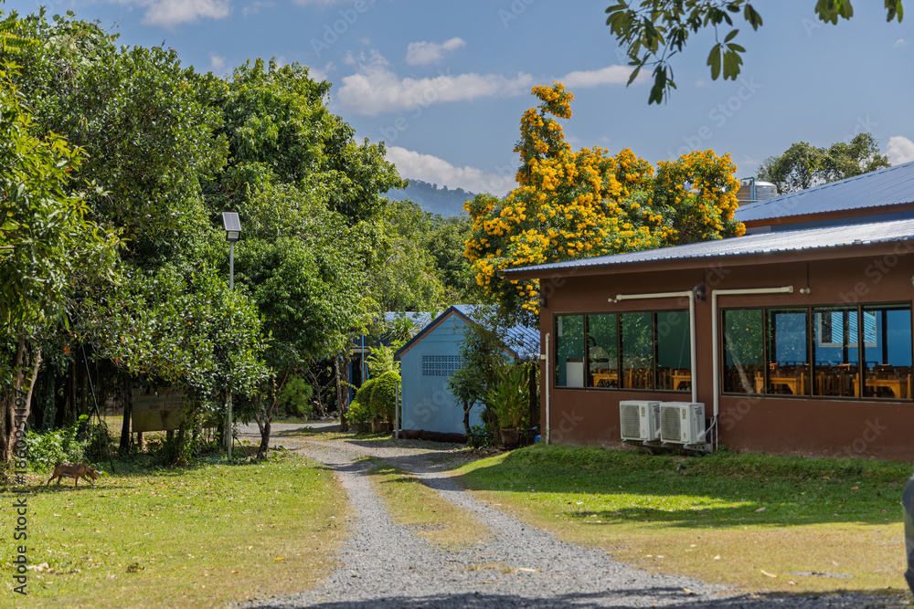 Obraz premium guesthouse building with large windows in khao yai, thailand, surrounded by greenery and flowering trees, gravel path leading to entrance