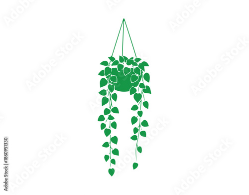 houseplants showcasing multiple colors. Potted plants set against a white backdrop.