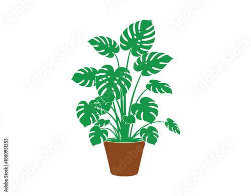 houseplants in various colors. Potted plants displayed on a white surface. A collection of lush green tropical plants. Stylish home decor incorporating indoor plants, planters, and tropical foliage.
