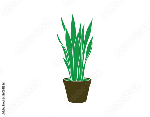 An assortment of houseplants in various colors. Potted plants displayed on a white surface. A collection of lush green tropical plants. Stylish home decor incorporating indoor plants, planters