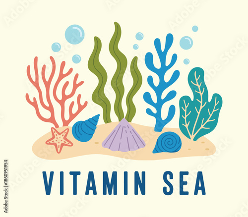 Vitamin sea. Shell collector vintage seashell t-shirt design vector image, Men Women Seashell summer slogan print drawing illustration for a graphic tee, Seashell vintage artwork. Perfect for summer 