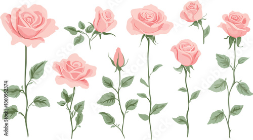 Seamless floral nature background featuring a beautiful pink rose pattern with green leaves and blossoming flower buds perfect for a romantic Valentine day gift or anniversary celebration