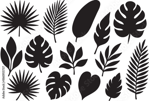 Collection of various black leaf silhouettes on