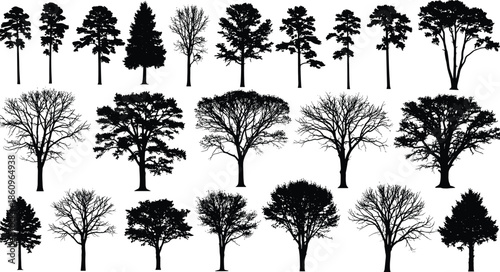 Set of black tree silhouettes, pine and deciduous forest plants, winter and summer nature collection, and isolated vector icons.