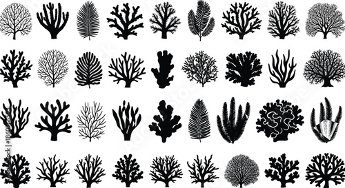 Set of black coral silhouettes, sea weed plants, underwater reef elements, marine nature collection, and ocean foliage vector icons.