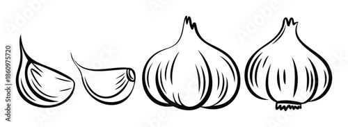 Simple black outline drawing featuring fresh whole garlic bulbs and individual cloves, ideal for enhancing culinary themed projects, recipe illustrations, and kitchen decor applications.