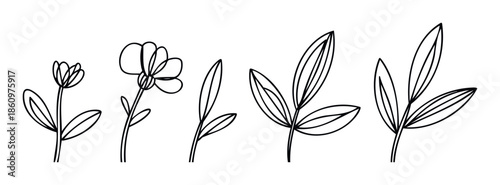 Simple hand drawn black outline flowers and leaves botanical elements for various graphic projects including prints, greeting cards, and website decorations