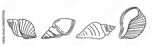 A series of black outline seashell illustrations showcasing different ocean mollusks, suitable for summer themed projects, beach vacation decorations, and marine life educational content.