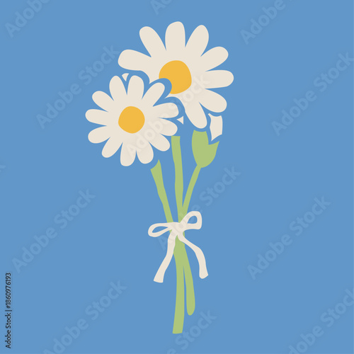 満開のデイジーの花束イラスト　カモミールやハーブ系のシンプルな花のイメージ