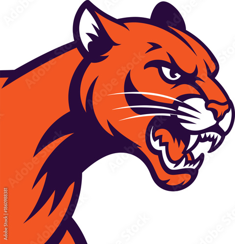 Fierce tiger head in aggressive stance with open mouth