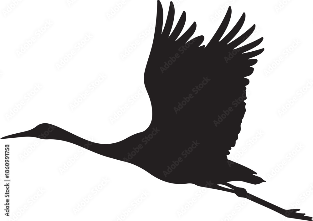 Obraz premium Black crane bird silhouette in flight white