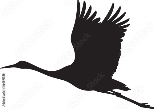 Black crane bird silhouette in flight white