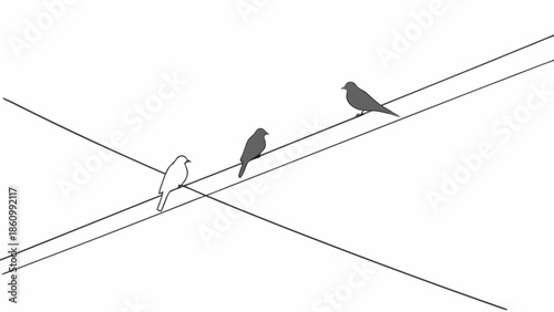 Three birds perched on intersecting wires, one white, two dark, against a clean background.