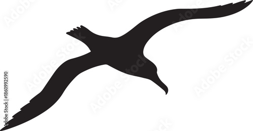 Black silhouette of a bird in flight white flying