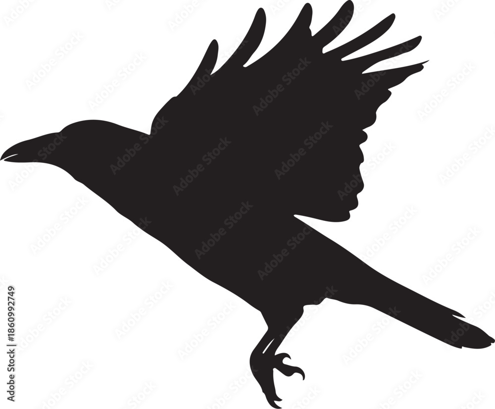 Fototapeta premium Black silhouette of a bird in flight with outstretched wings