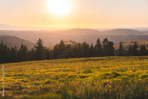 Meadow And Forest In Evening Glow
