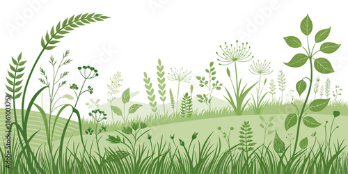 Lush green landscape with diverse wildflowers and plants