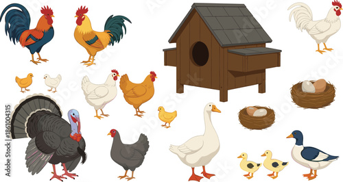 Poultry and farm bird collection featuring rooster hen chicken turkey goose duck and chicks with wooden coop nest and eggs vector design.