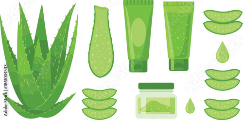 Aloe vera plant and skincare collection featuring fresh leaves gel tubes cream jars and drops for beauty organic health and vector design.