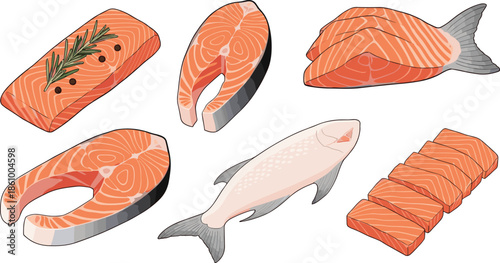 Fresh salmon fish collection featuring raw fillets orange steaks and slices with rosemary and pepper for seafood market restaurant menu and vector.