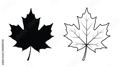 Two maple leaves one solid black and one outlined a striking silhouette