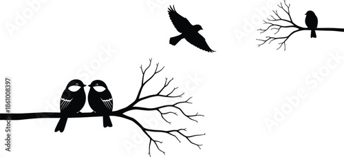 Bird silhouettes on tree branches and flying in sky, nature wildlife illustration, romantic love birds sitting together, minimalist black bird design