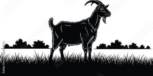 Black silhouette vector illustration of a horned billy goat standing in a grassy field designed in vintage woodcut engraving style