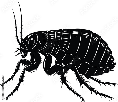 Detailed black and white vector illustration of a common parasitic flea isolated on white background for veterinary and pest control concepts