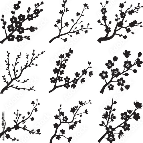 black silhouettes of flowering cherry tree branches on white background