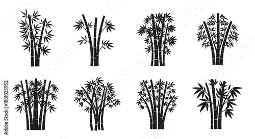 A collection of various bamboo plants depicted in a striking black and white silhouette