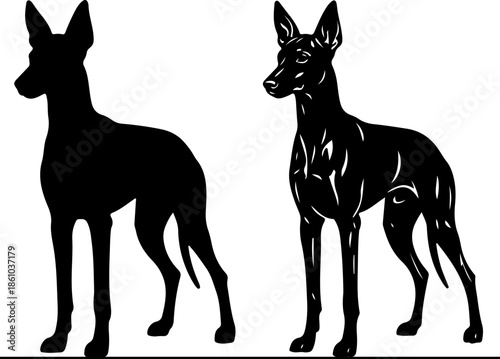 Two-Style Pharaoh Hound Bold Black Line Silhouette Vector Illustration