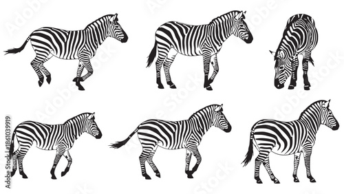 Black and white illustrations of zebras in various poses, showcasing their unique striped patterns