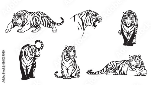 Dynamic black and white tiger illustrations showcasing powerful and majestic poses