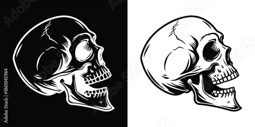 A black and white illustration of a human skull in profile, perfect for use in halloween or horror related projects, isolated on white background
