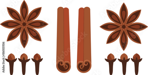 Cinnamon sticks with star anise and cloves illustration set, aromatic spice elements collection for cooking, baking design