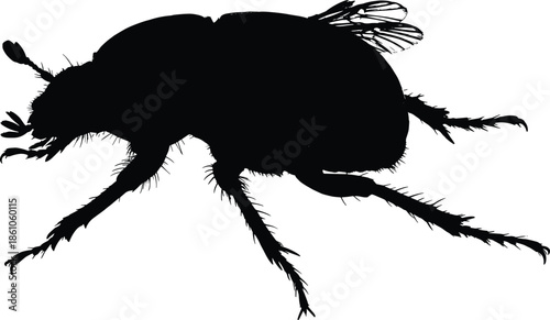 Beetle insect silhouette isolated on white background, detailed flying bug with wings, nature wildlife illustration vector macro entomology design concept