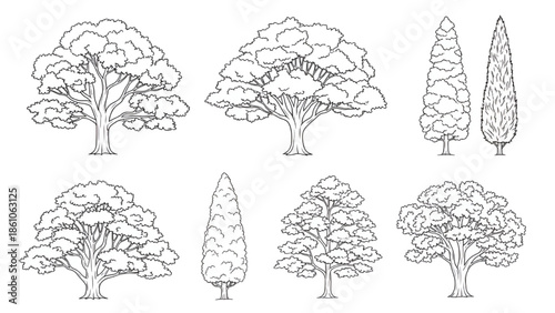 set of trees in lines in minimalist CAD. Set of sections of wetland forest outlines for landscape design drawing. Vector illustration in separate elements.