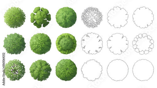 Realistic CAD Tree Foliage | Top View Landscape Plant Symbols for Interior and Exterior Design