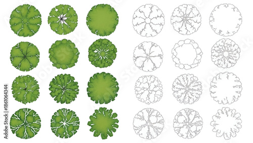 Green Floral Illustrations and Line Drawings on White Background