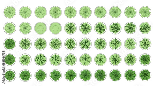 Green Floral Patterns Collection Isolated on White Background