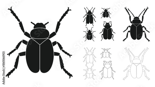 Black beetle silhouettes collection diverse views of insect body shapes and forms