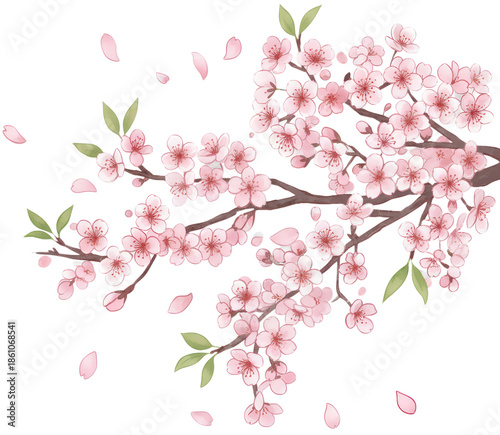 Wallpaper Mural 벚꽃 Torontodigital.ca