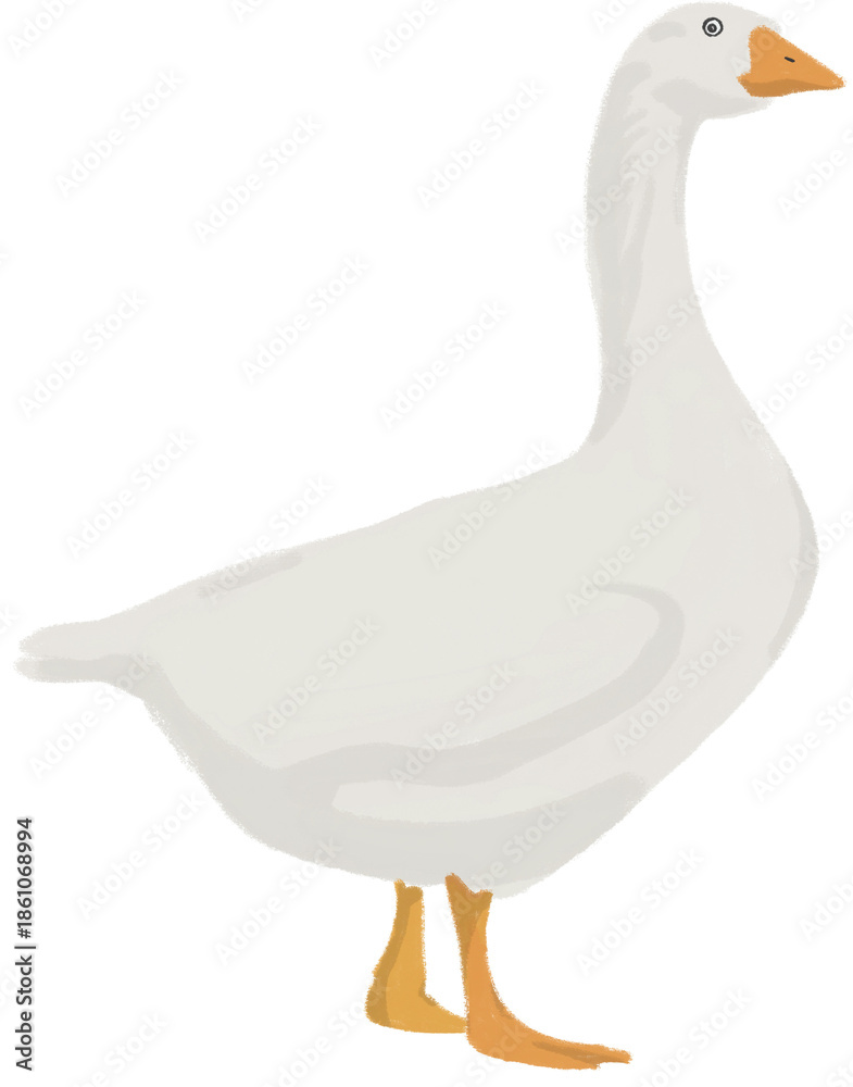 Obraz premium 거위