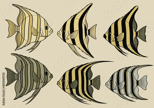 Six stylized angelfish in various color patterns and poses.