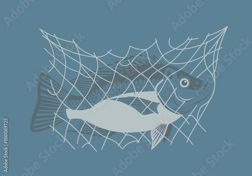 A fish is caught in a net, with its body partially obscured.