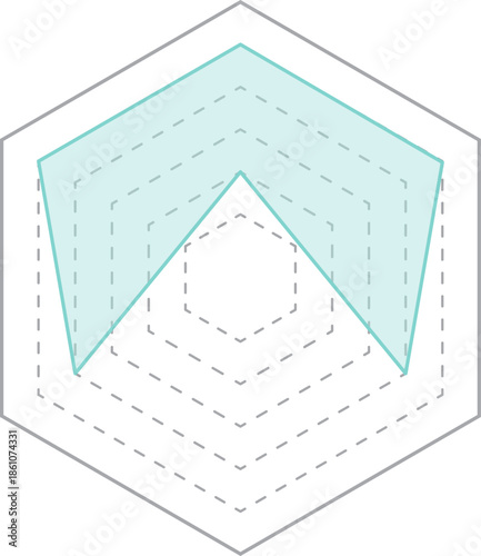 육각형 등급 그래프